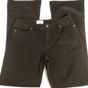 White House Black Market Blanc Jeans 8 Bootcut